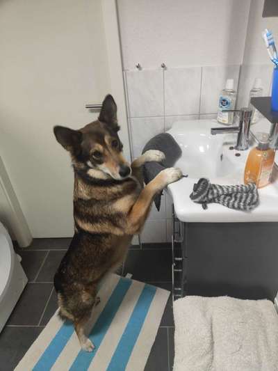 Fotochallenge 128-Beitrag-Bild