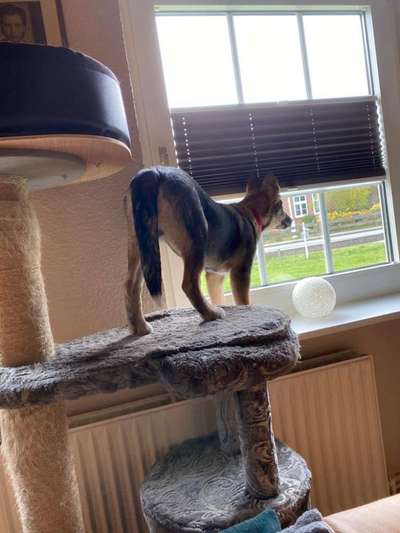 120. Fotochallenge-Beitrag-Bild