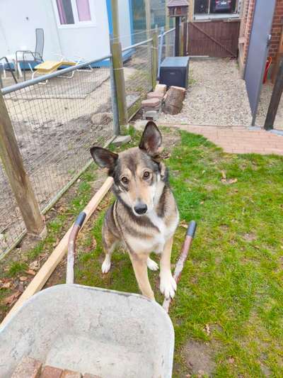 Fotochallenge 129-Beitrag-Bild