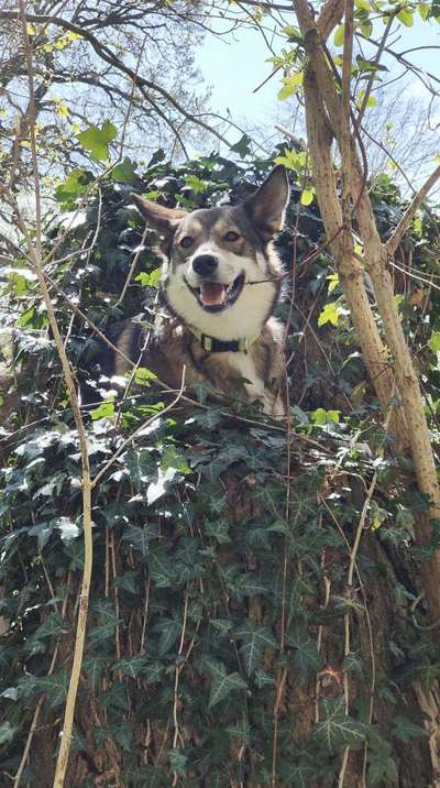 Foto Challenge Nr. 136-Beitrag-Bild