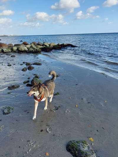 35. Handy Foto Challenge - Das nasse Element-Beitrag-Bild