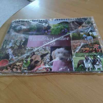 aktuelles Foto Gruppe Hundekalender 2026