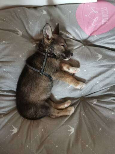 Sie werden so schnell erwachsen ...-Beitrag-Bild