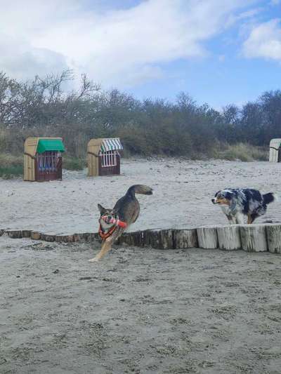 37. Collagen Challenge- Am Strand-Beitrag-Bild