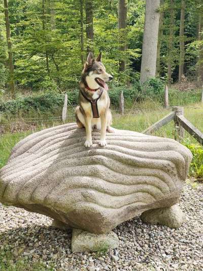 82. Foto Challenge: Skulptur/ Denkmal-Beitrag-Bild