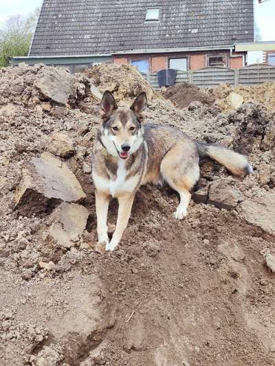 12. Farben Foto Challenge --- Braun-Beitrag-Bild