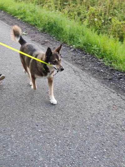 149. Foto Challenge: Wer ist hier der Boss!-Beitrag-Bild