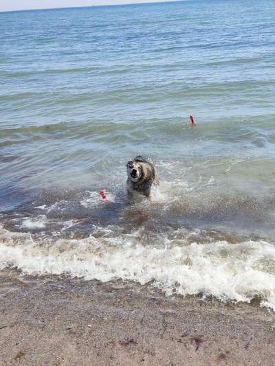 37. Collagen Challenge- Am Strand-Beitrag-Bild