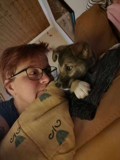 Die lustigsten Selfies mit Deinem Hund !-Beitrag-Bild