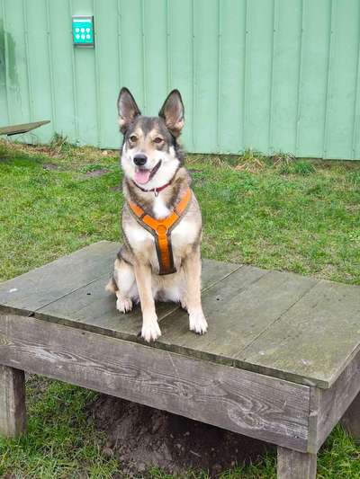 Doppelgänger gesucht !-Beitrag-Bild