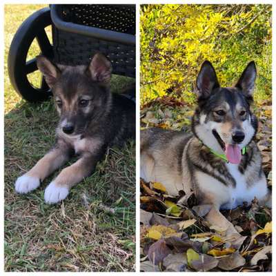 28. Handy-Fotochallenge - Damals und heute-Beitrag-Bild