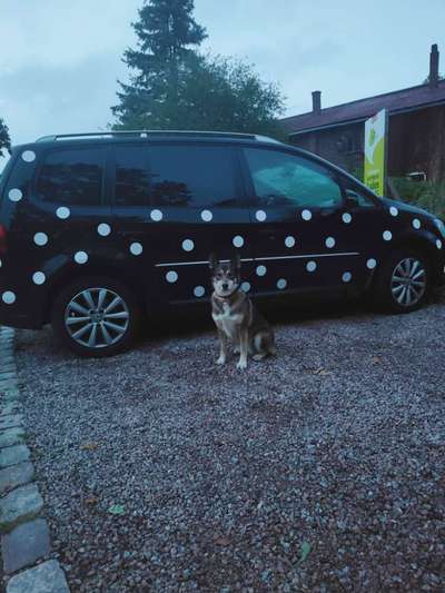 34. Farben-Challenge: Punkte - Punkte - Pünktchen-Beitrag-Bild