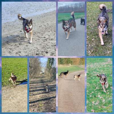 30. Collagen Challenge - Wege/Straßen-Beitrag-Bild