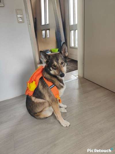 21. Farben / Foto Challenge - Neon / Leuchtfarben-Beitrag-Bild