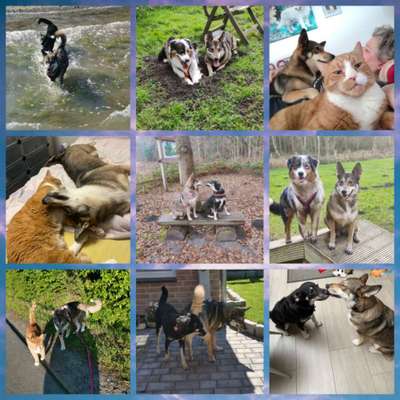 22. Collagen Challenge- Lebensfreude-Beitrag-Bild