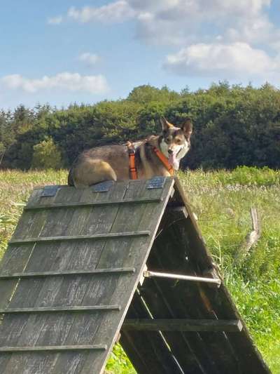 64. Handy Foto Challenge - Hoch hinaus-Beitrag-Bild