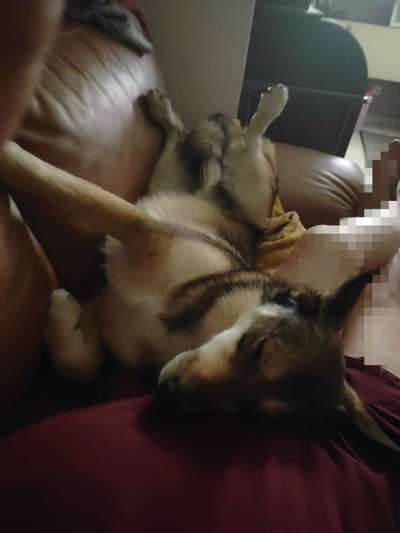 65. Handy Foto Challange                     "Ich kann nicht ohne..."-Beitrag-Bild