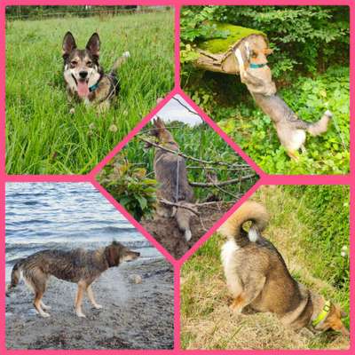 53. Collage Challenge - Verschiedene Blickwinkel-Beitrag-Bild