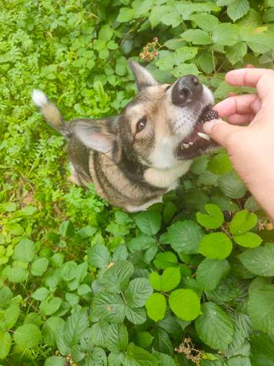 152. Foto Challenge: "Friss mir aus der Hand"-Beitrag-Bild