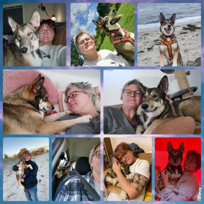 21. Collage Challenge 
Du und dein Hund-Beitrag-Bild