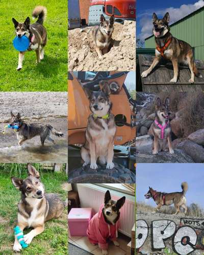 48. Collagen Challenge: Das Leben ist bunt-Beitrag-Bild