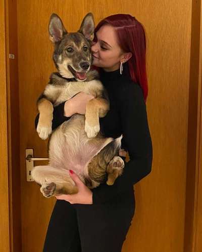 Dogorama Photo Challenge - Zeigt her eure Bäuche-Beitrag-Bild