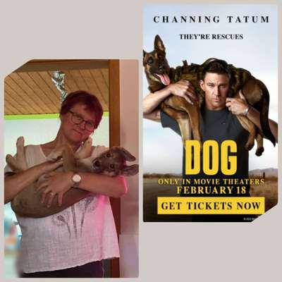 Dogorama Photo Challenge - TV Hund-Beitrag-Bild