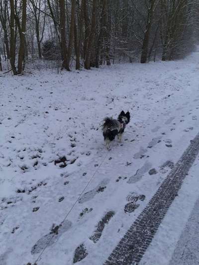 Dogorama Photo Challenge - Es wird nochmal kalt!-Beitrag-Bild