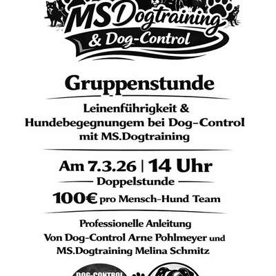 Hundetreffen-Doppelstunde Hundebegegnungen-Bild