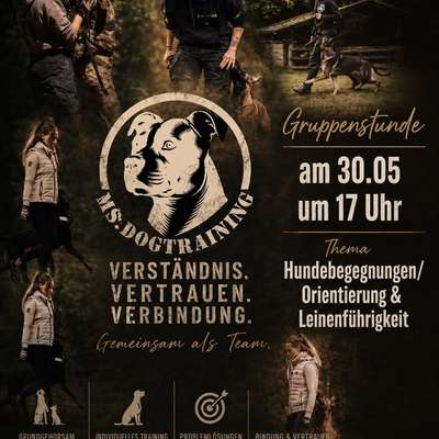Hundetreffen-Hundetraining-Bild