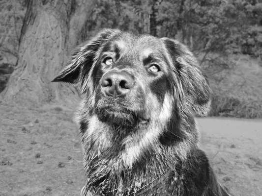 Foto-Challenge 76: Foto in Schwarz-Weiss-Beitrag-Bild