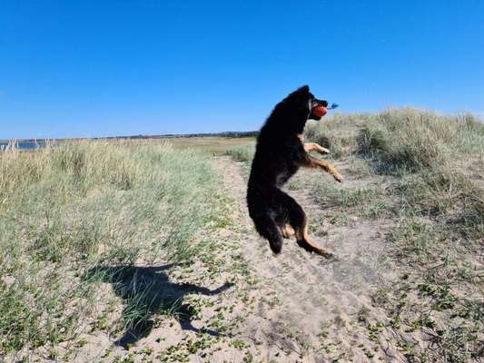 Farben Fotochallenge Sonnenlicht-Beitrag-Bild