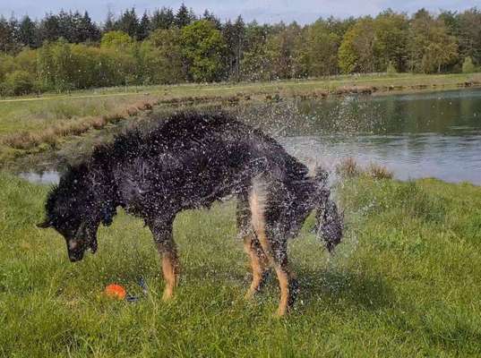 Foto Challenge Nr.133-Beitrag-Bild