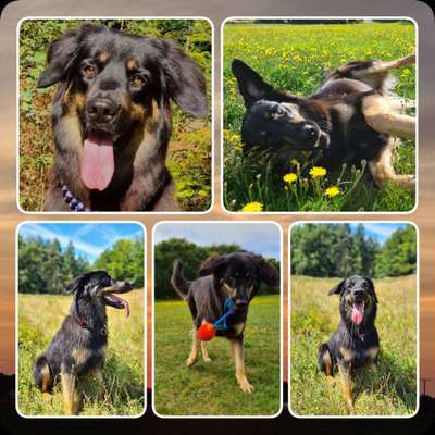 23. Collagen-Challenge: Portraits-Beitrag-Bild