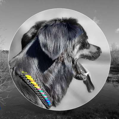 6. Farben Foto Challenge: "ColourKey Effekt"-Beitrag-Bild