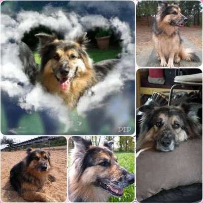 23. Collagen-Challenge: Portraits-Beitrag-Bild