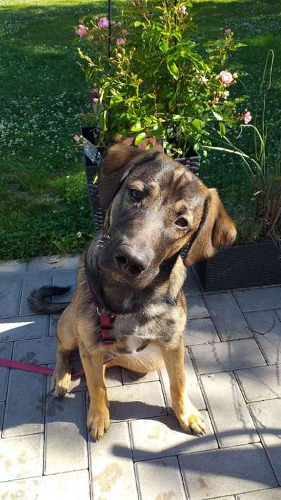 Lieblingsbild-Beitrag-Bild