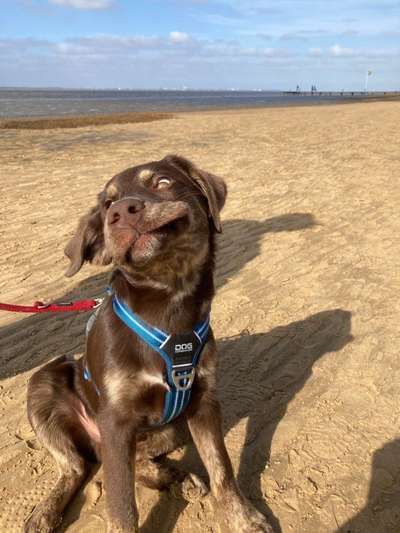 Lieblingsbild :D-Beitrag-Bild