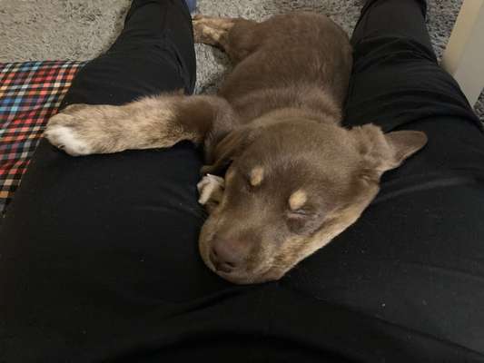 Sie werden so schnell erwachsen ...-Beitrag-Bild