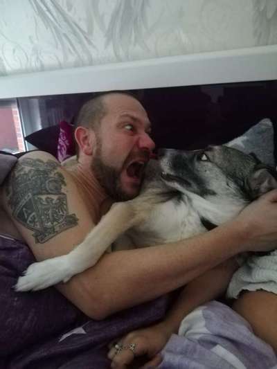 Zeige das lustigste Bild eures Hundis-Beitrag-Bild