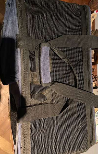 Transportrucksack/Tragetasche für kleinen Hund oder Welpen-Beitrag-Bild