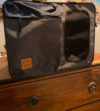 Transportrucksack/Tragetasche für kleinen Hund oder Welpen-Beitrag-Bild