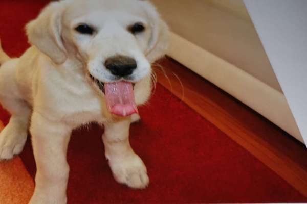 Handyfoto challenge Nr. 13: Waschlappen raus!-Beitrag-Bild