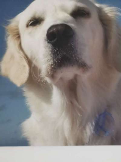 Fotochallange Nr. 57     PORTRÄT.   Beendet!!!!!!!!-Beitrag-Bild