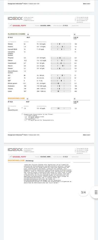 Blutwerte-Beitrag-Bild