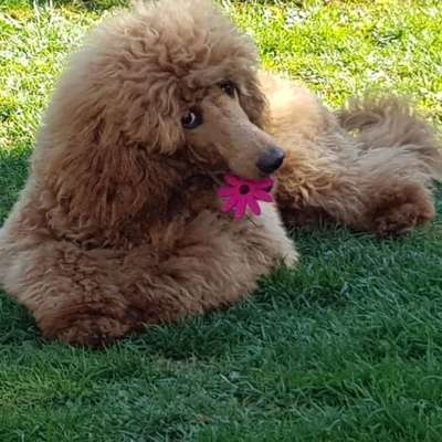 Herbert's Profilbild