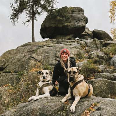 Hundetreffen-Mensch-Hund-Teams kennenlernen🐾-Bild