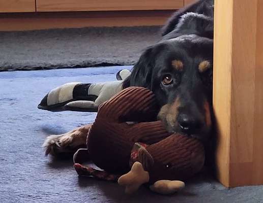 Fotochallenge Nr. 67: Euer Lieblingsbild-Beitrag-Bild