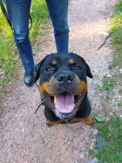 Das beste grinsefoto-Beitrag-Bild