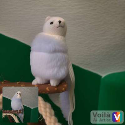 Voila app Bilder-Beitrag-Bild